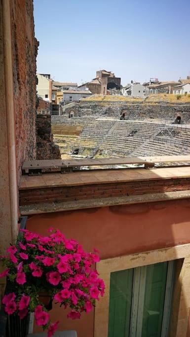 شقة Finestre Sul Teatro - Catania - Parking Included الغرفة الصورة